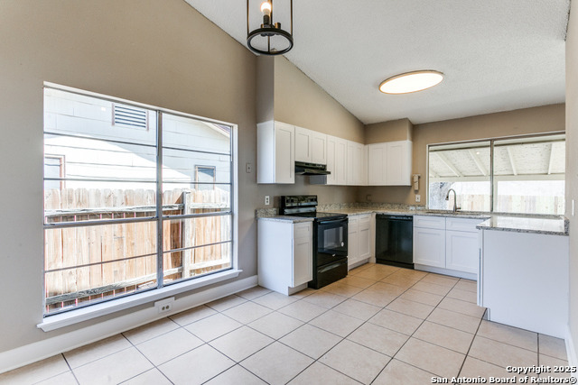 Image 6 of 17 For 14206 Short Horn