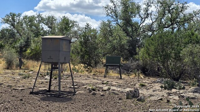 Listing photo id 21 for 300 County Road 550