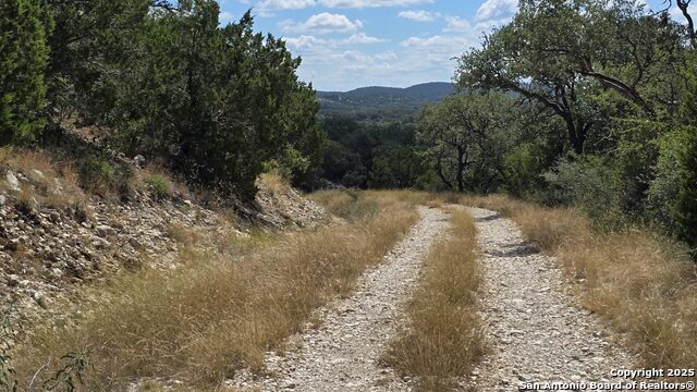 Listing photo id 22 for 300 County Road 550