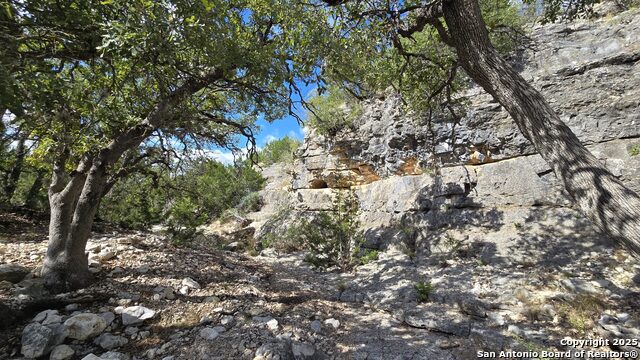 Listing photo id 32 for 300 County Road 550