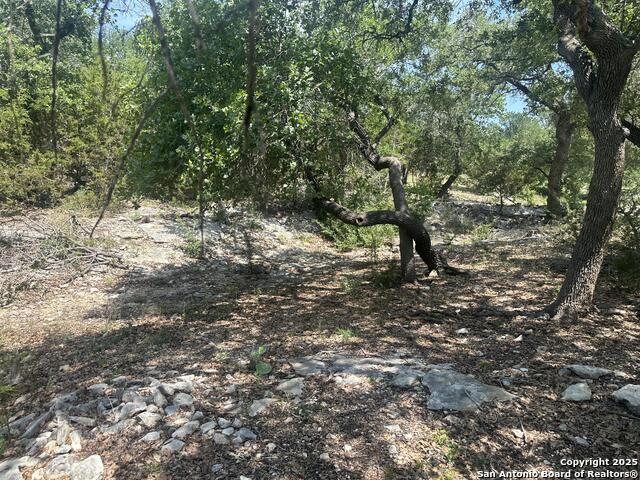 Image 16 of 28 For 543 Narrows  