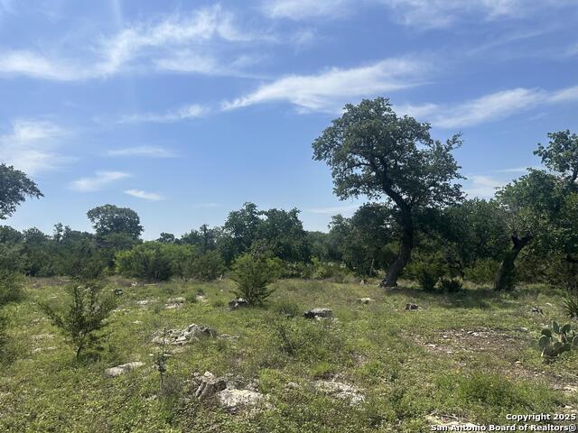 Image 17 of 28 For 543 Narrows  