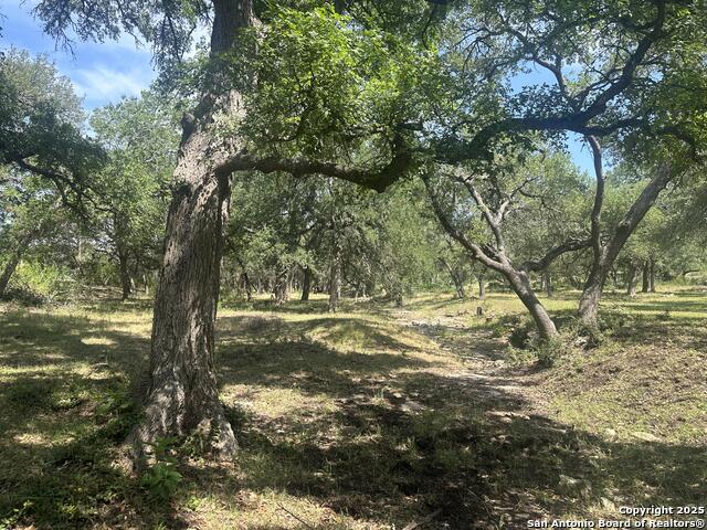 Image 8 of 28 For 543 Narrows  