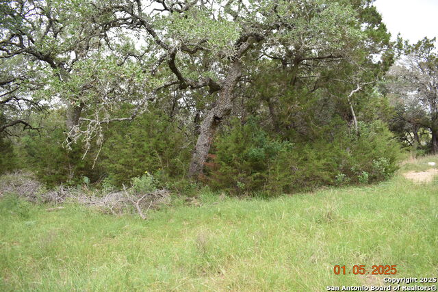 Image 12 of 17 For 2315 Haven Bluff