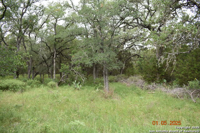 Image 13 of 17 For 2315 Haven Bluff