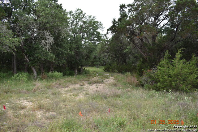 Image 14 of 17 For 2315 Haven Bluff