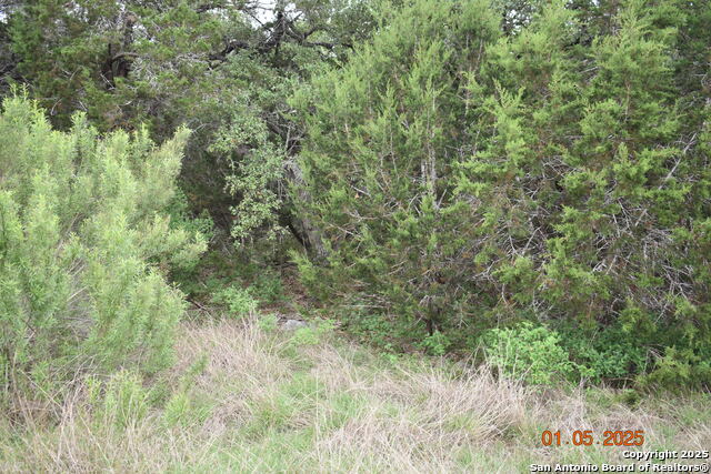 Image 16 of 17 For 2315 Haven Bluff