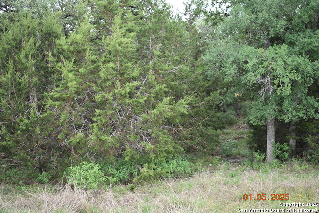 Image 17 of 17 For 2315 Haven Bluff