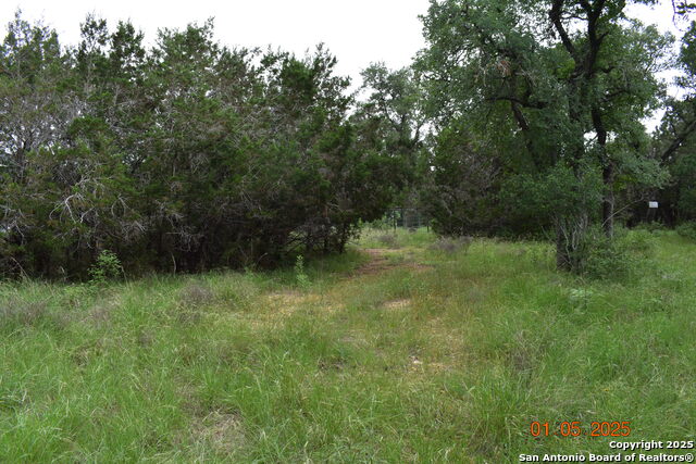 Image 4 of 17 For 2315 Haven Bluff