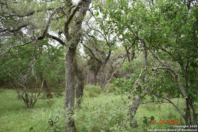 Image 5 of 17 For 2315 Haven Bluff