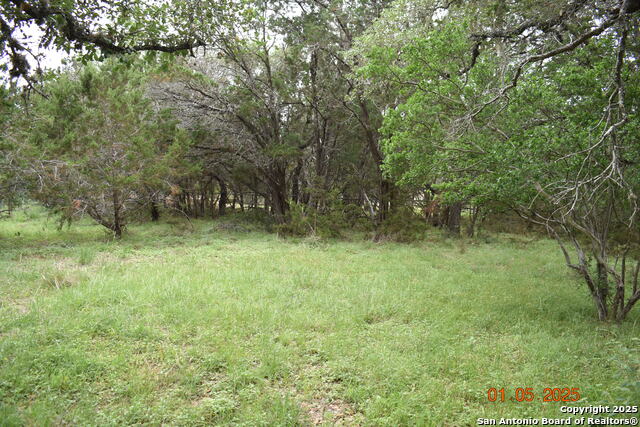 Image 6 of 17 For 2315 Haven Bluff