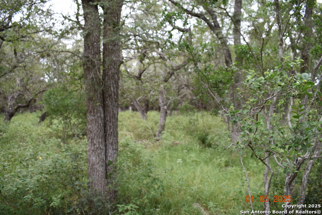 Image 8 of 17 For 2315 Haven Bluff