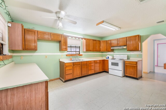 Image 8 of 35 For 238 W Petaluma Blvd