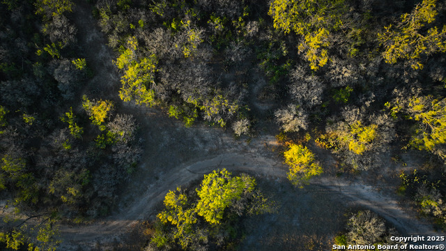 Image 18 of 29 For 11190 Jarratt