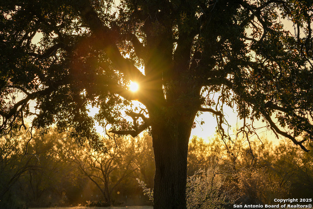 Image 19 of 29 For 11190 Jarratt