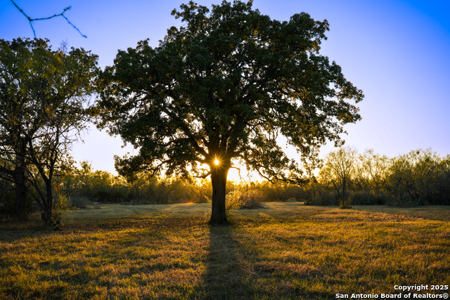 Image 20 of 29 For 11190 Jarratt