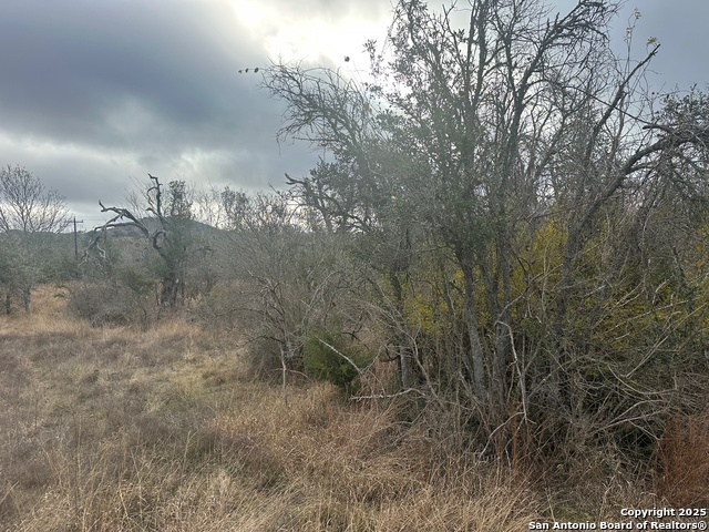 Image 2 of 9 For 119 Platten Creek