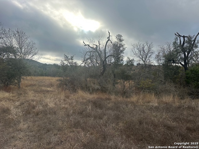 Image 3 of 9 For 119 Platten Creek