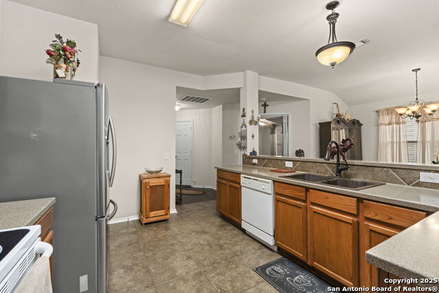 Image 11 of 42 For 3826 Alpine Aster