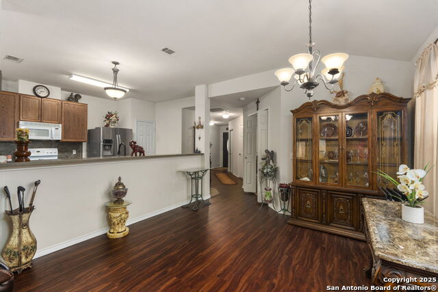 Image 12 of 42 For 3826 Alpine Aster