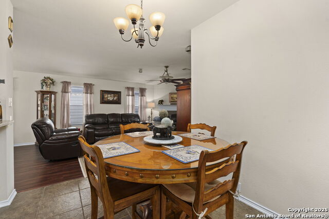 Image 14 of 42 For 3826 Alpine Aster