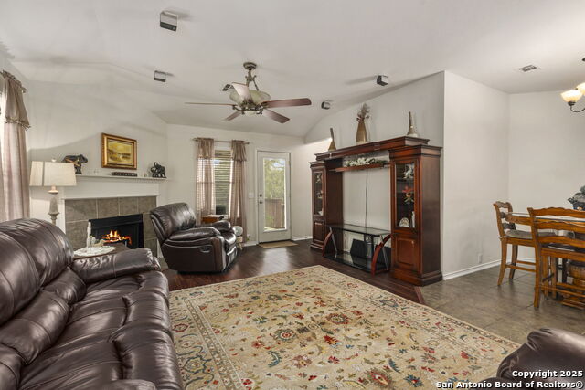 Image 15 of 42 For 3826 Alpine Aster