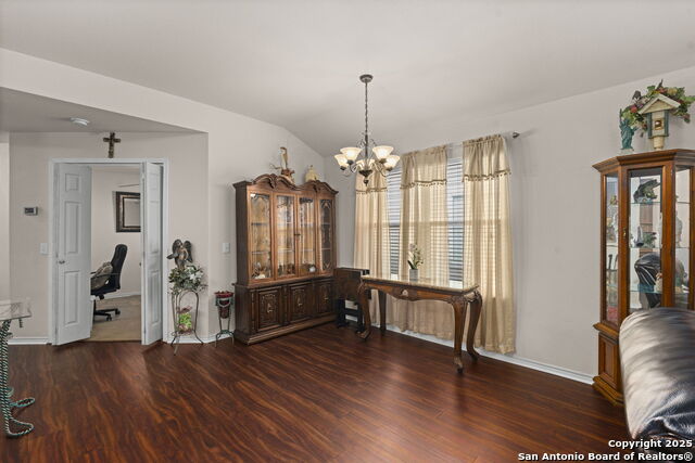 Image 17 of 42 For 3826 Alpine Aster