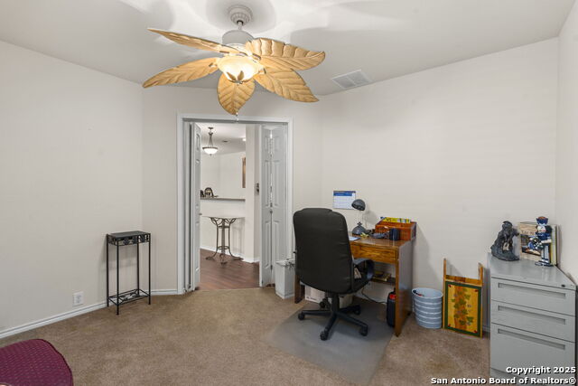 Image 18 of 42 For 3826 Alpine Aster