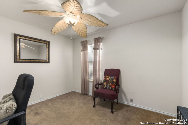 Image 19 of 42 For 3826 Alpine Aster