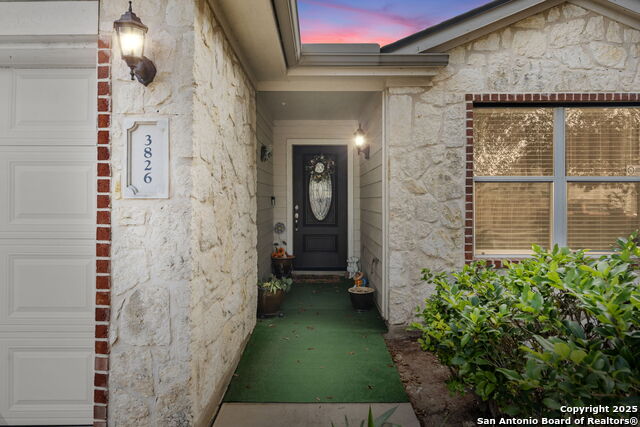 Image 2 of 42 For 3826 Alpine Aster