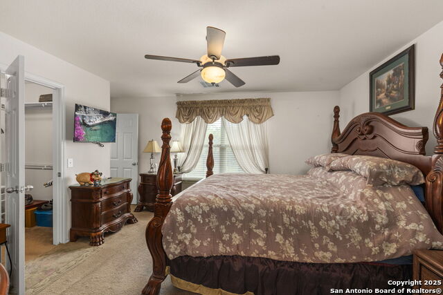 Image 21 of 42 For 3826 Alpine Aster