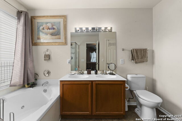 Image 22 of 42 For 3826 Alpine Aster