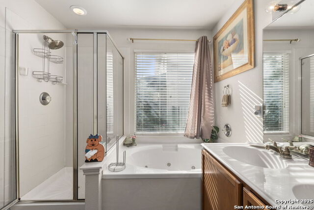 Image 23 of 42 For 3826 Alpine Aster