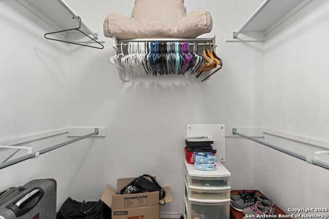 Image 24 of 42 For 3826 Alpine Aster