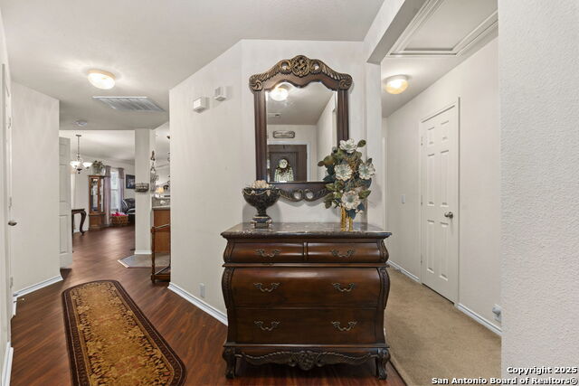 Image 3 of 42 For 3826 Alpine Aster