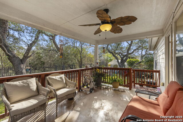 Image 31 of 42 For 3826 Alpine Aster