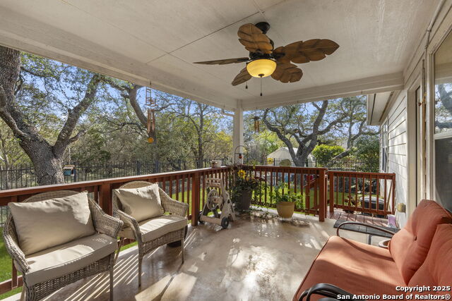 Image 33 of 42 For 3826 Alpine Aster