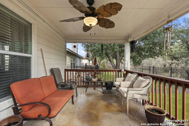Image 35 of 42 For 3826 Alpine Aster