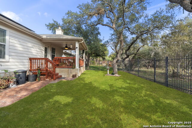 Image 36 of 42 For 3826 Alpine Aster