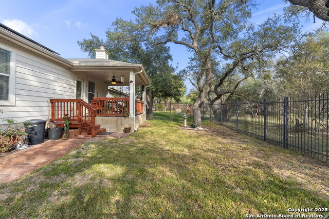 Image 38 of 42 For 3826 Alpine Aster