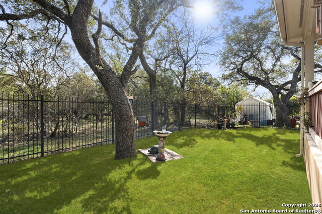 Image 40 of 42 For 3826 Alpine Aster