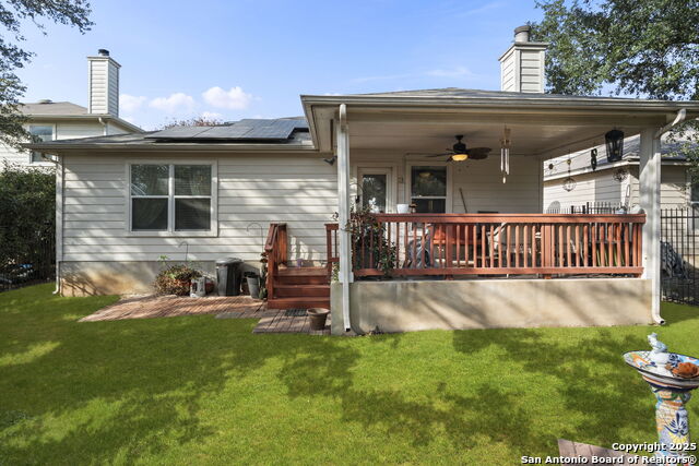 Image 42 of 42 For 3826 Alpine Aster