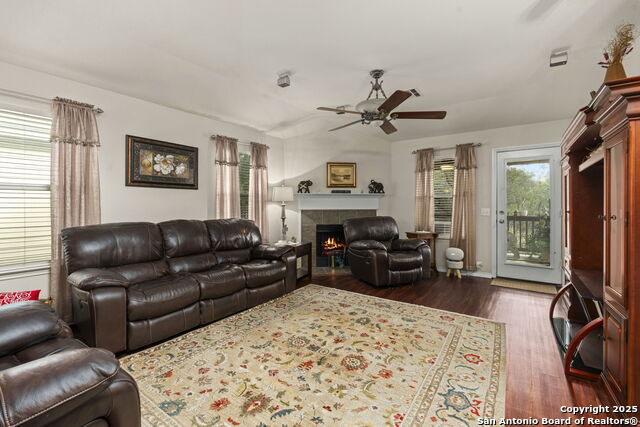 Image 5 of 42 For 3826 Alpine Aster