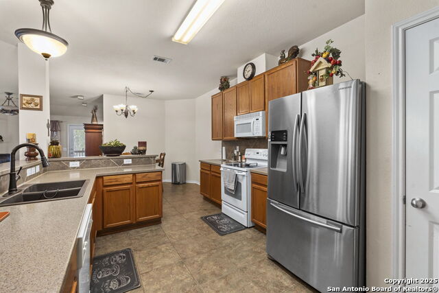 Image 8 of 42 For 3826 Alpine Aster