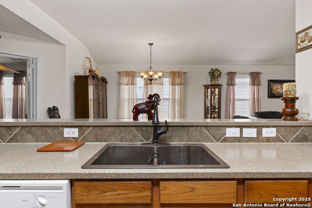 Image 9 of 42 For 3826 Alpine Aster