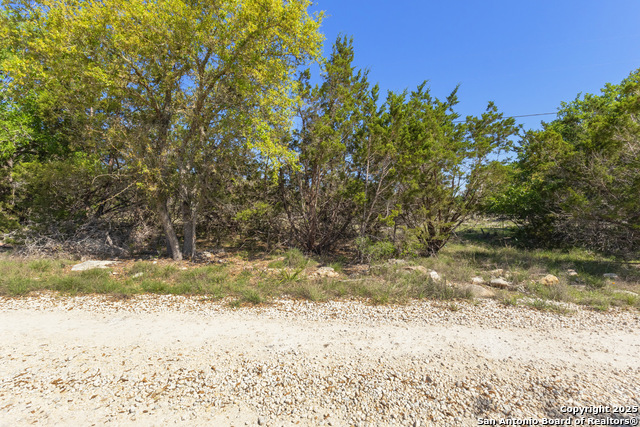 Image 10 of 14 For 0 Forest Lake