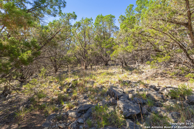 Image 4 of 14 For 0 Forest Lake