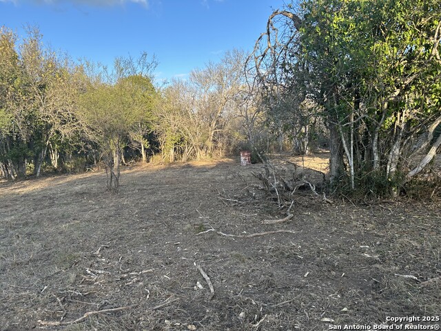 Image 10 of 14 For 11803 Pomeroy