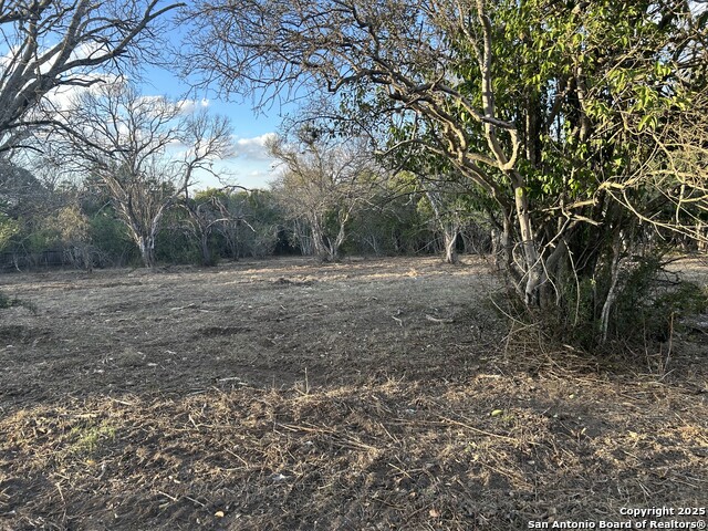 Image 12 of 14 For 11803 Pomeroy