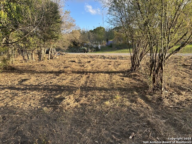 Image 2 of 14 For 11803 Pomeroy